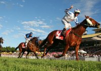 Melbourne Cup